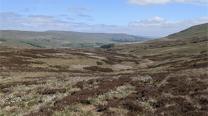 Future Landscape Forum calls for a pause in proposed changes to legislation around burning on peatlands