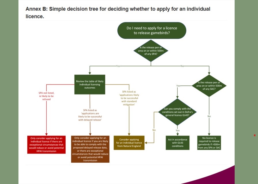 Decision Tree