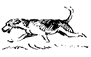 A picture containing linedrawing

Description automatically generated